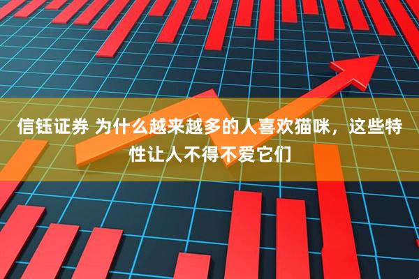 信钰证券 为什么越来越多的人喜欢猫咪，这些特性让人不得不爱它们
