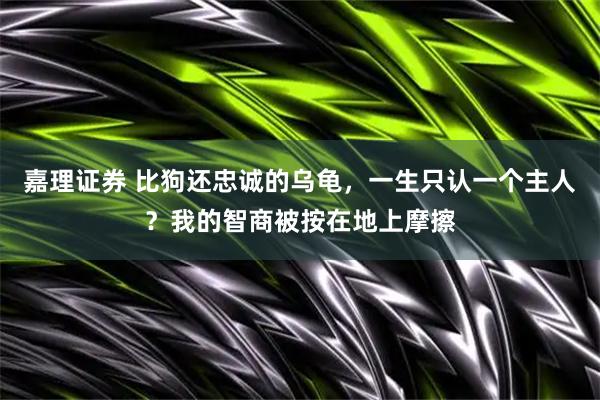 嘉理证券 比狗还忠诚的乌龟，一生只认一个主人？我的智商被按在地上摩擦